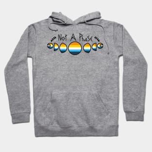 Not a phase- Aroace pride Hoodie